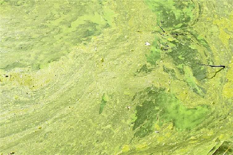 Höfken: Wasserkontakt zum Schutz der Gesundheit vermeiden 