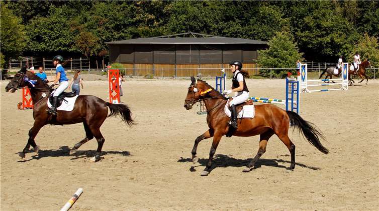 Von großen Pferden und kleinen Reitern 
