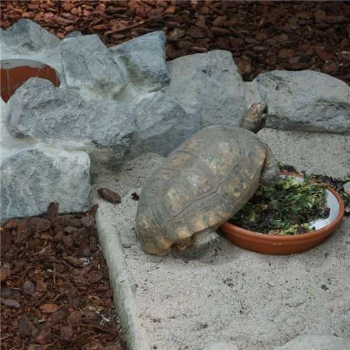 „Prinz Maximilian zu Wied Halle“ wurde feierlich eröffnet 