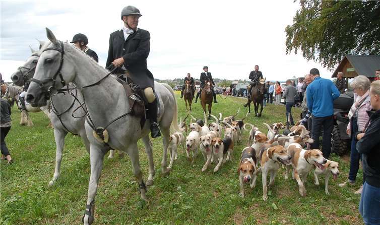 45 Jagdreiter galoppierten rund um Anhausen 