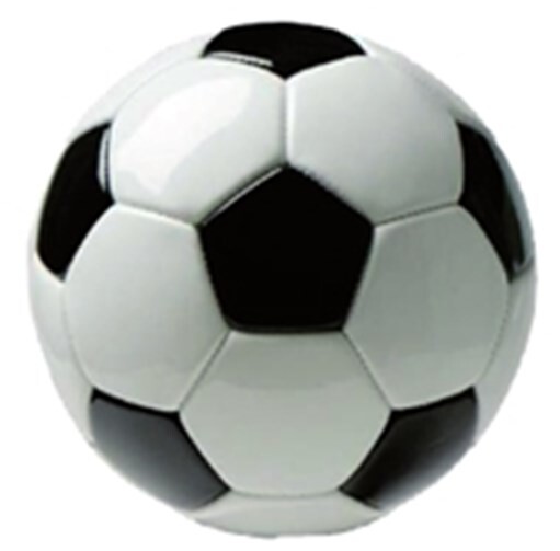 Schmerzliche Niederlage 