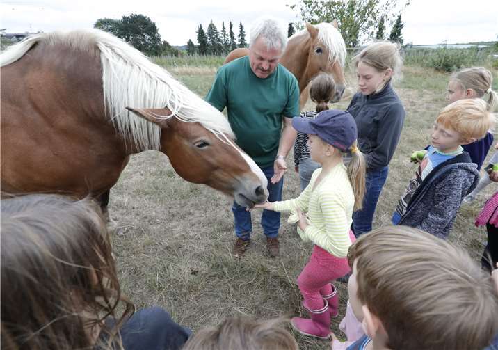 Traditionelles Kartoffelfest in Gimmersdorf zog Familien an 