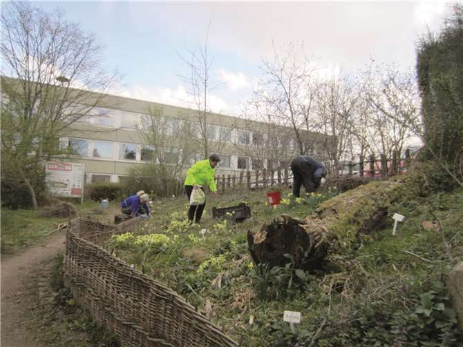 Frühjahrsputz macht den Schaugarten fit für den Frühling Frühjahrsputz macht den Schaugarten fit für den Frühling