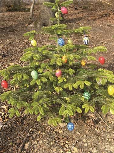 Walkingtreff mit Übungsleiterin Anita Herr 