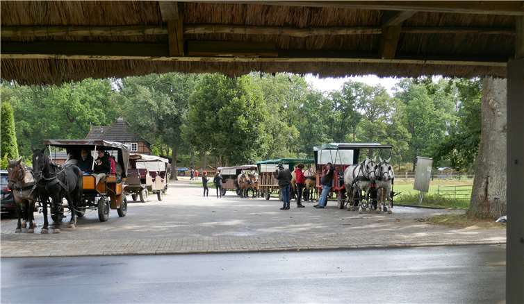 Kurzweiliger und informativer Ausflug in die Lüneburger Heide 