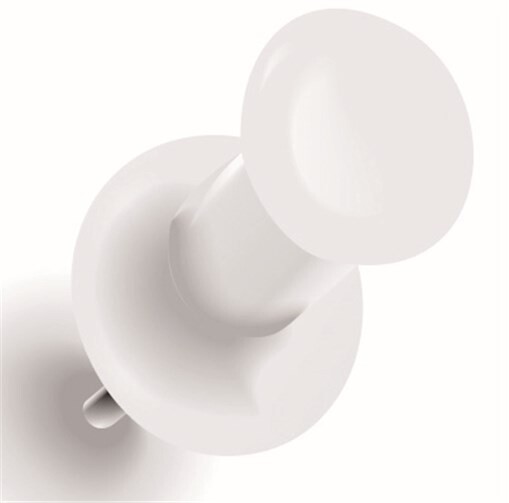 Der Zacheies musste so manche Schandtat auf seine Kappe nehmen 