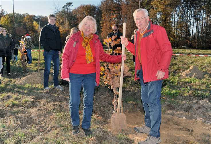 23 neue Eichen wurden gesetzt 