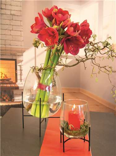 Die gemütlichste Zeit des Jahres steht vor der Tür 