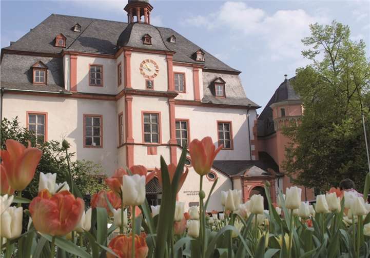 Frühlingserwachen in Koblenz 