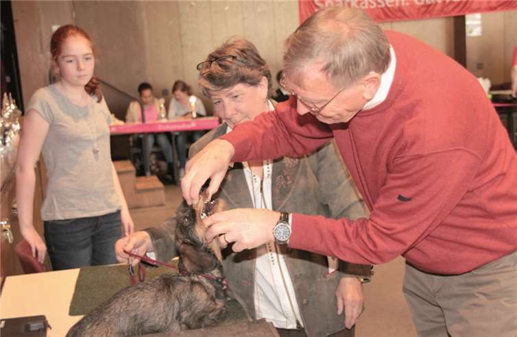 Bestnoten für Tuuli, Nixe und Maxi