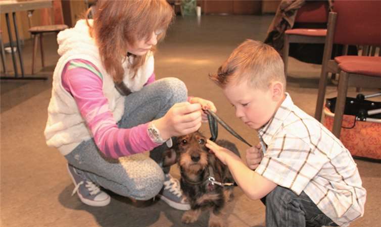 Bestnoten für Tuuli, Nixe und Maxi 