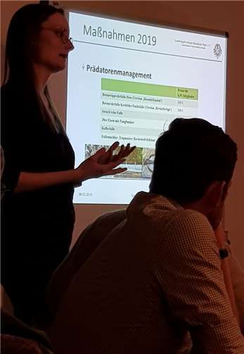 Rebhuhn, Hase und die Schweinepest 