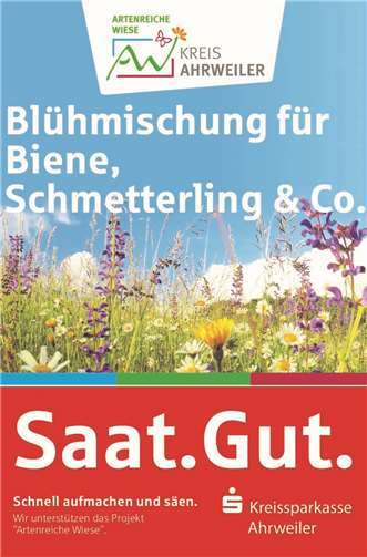 Vier aus 51: Welche Pflanzen bald in jedem Garten im Kreis wachsen könnten 