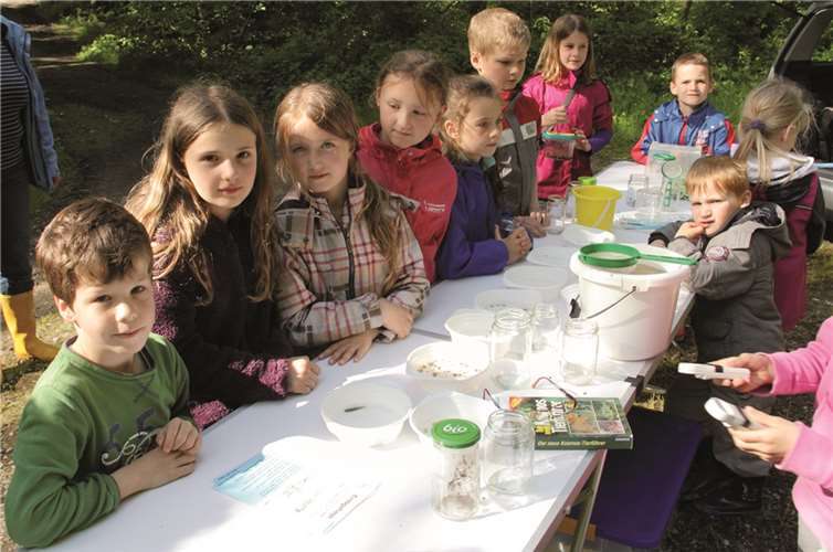 Spannende Tierexpedition im Hillscheider Bach 