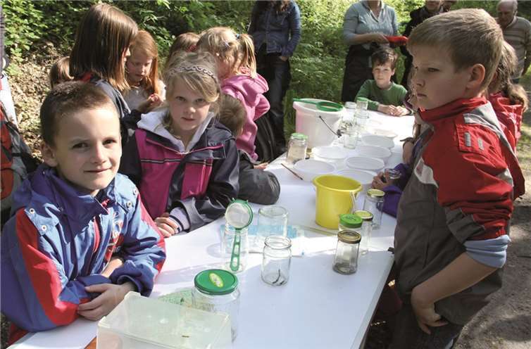 Spannende Tierexpedition im Hillscheider Bach 