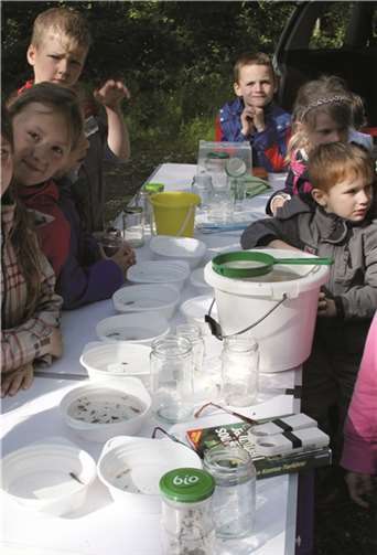 Spannende Tierexpedition im Hillscheider Bach 