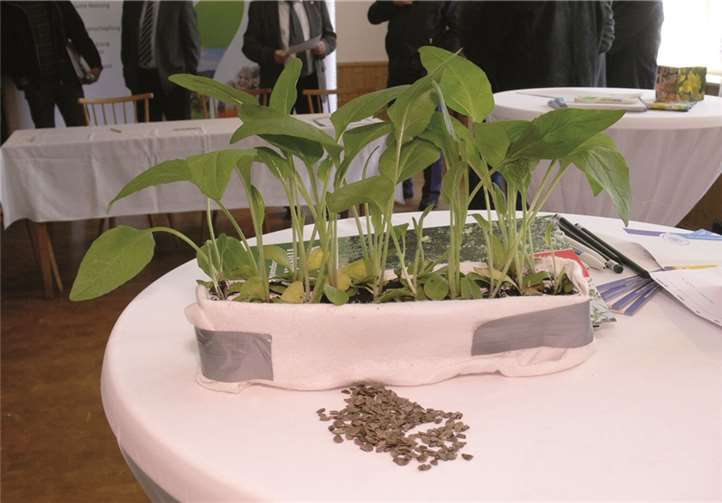 Startschuss zu Versuchsprojekt in der Bioenergie-Region 