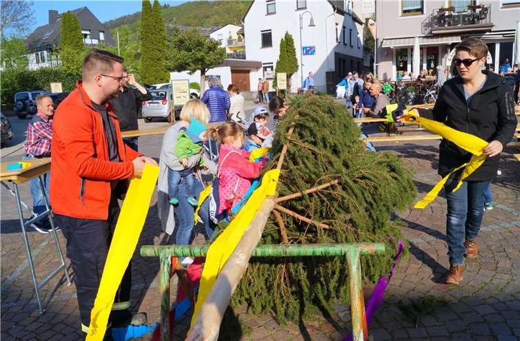 Baum steht – der Mai ist gekommen 