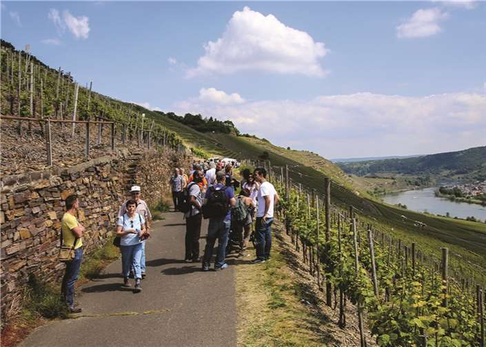 Weingenuss über dem herrlichen Moseltal 