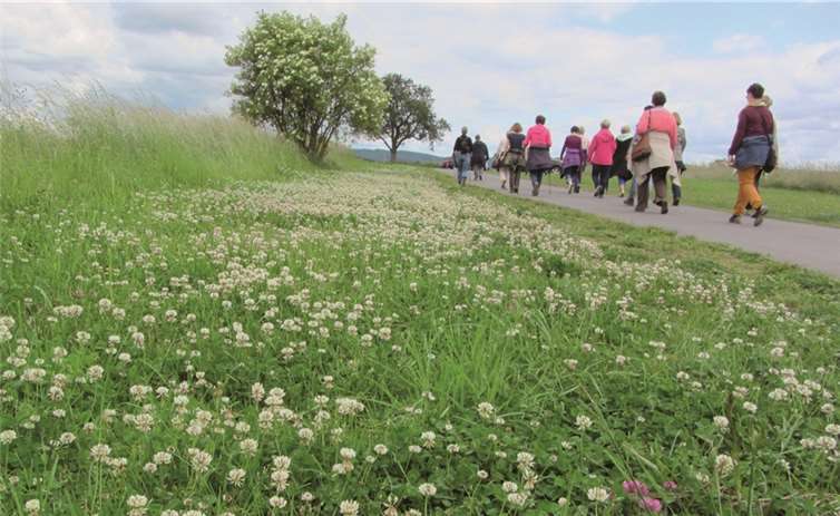 Hans im Glück - und was alles von ihm zu lernen ist 