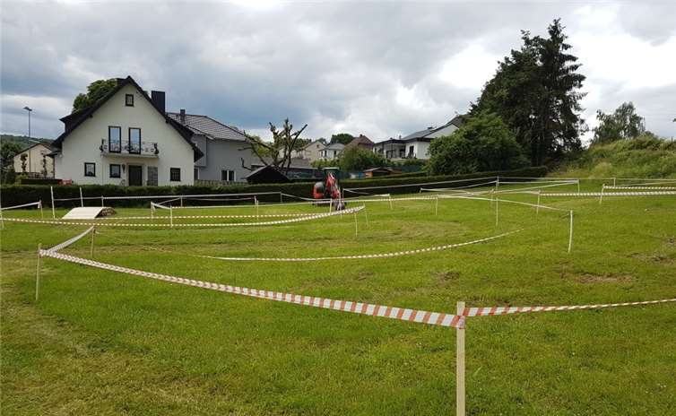 Vierter OXen-Trail mit Rekordbeteiligung 