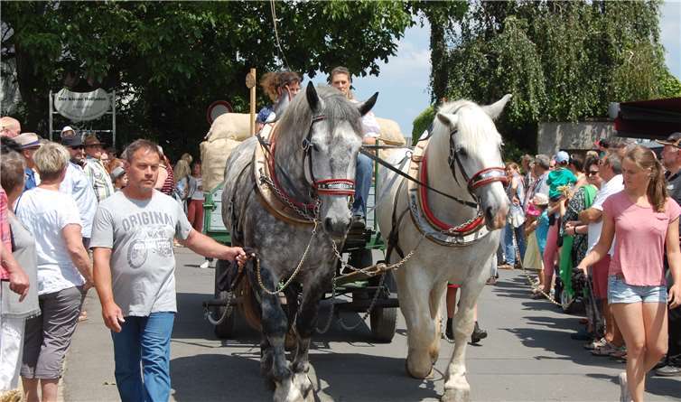 „Landleben mit Lust und Laune“ 