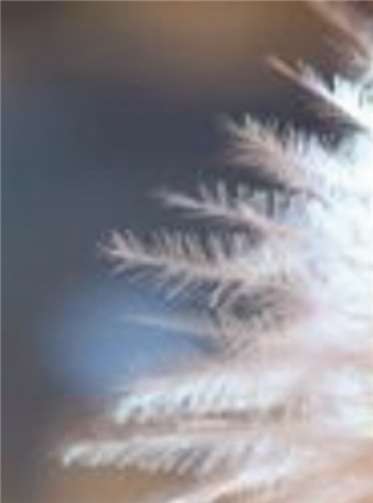 Ein Erlebnis für die ganze Familie 