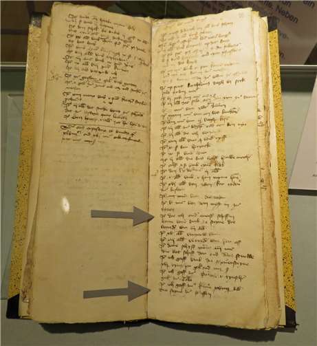 Faszinierende Einblicke in die Burgenwelt des unteren Mittelrheintals 