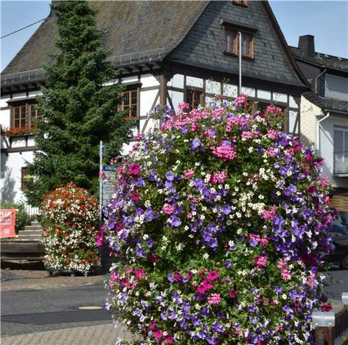 Flowerpower in Welschneudorf 