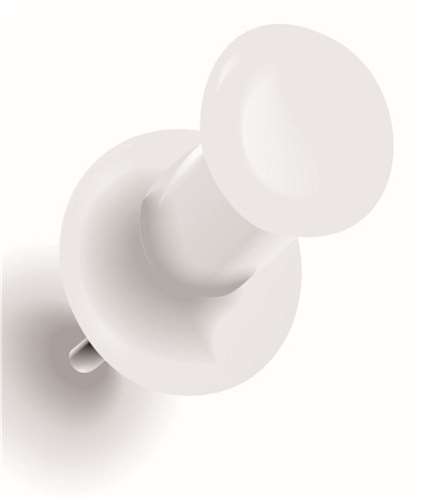 Ein Vormittag im Tierheim 