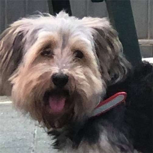 Ein Vormittag im Tierheim