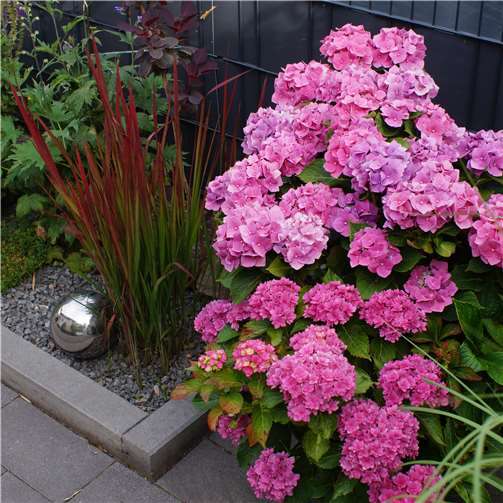 Grüne Oasen als Ersatz-Urlaubsziele 