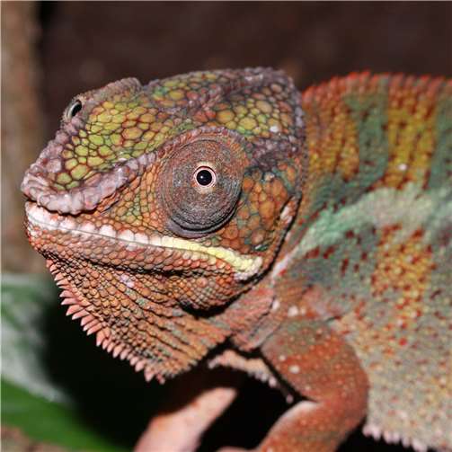 Kinderfest im Zoo Neuwied 