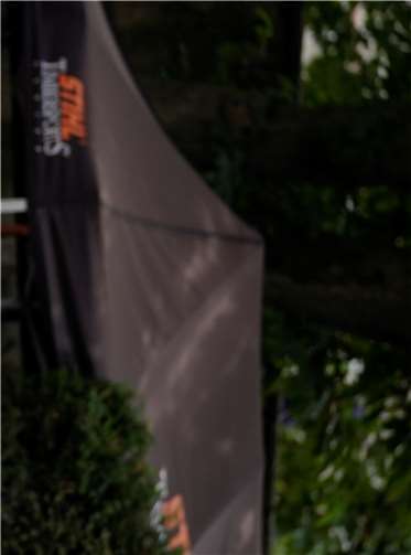 Platz zwei für Alrun Uebing – Robert Ebner siegt bei den Herren 