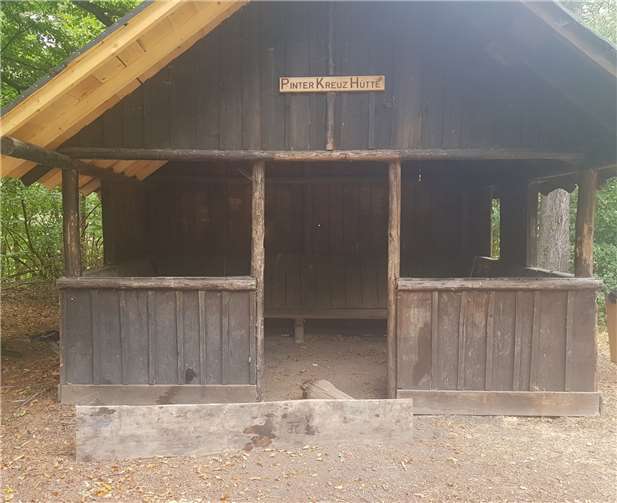 Erneuter Vandalismus im Mayener Stadtwald 