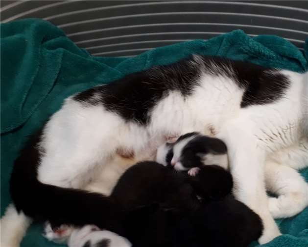 Räumliche Kapazitäten sind ausgeschöpft