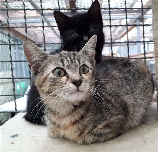 Räumliche Kapazitäten sind ausgeschöpft 