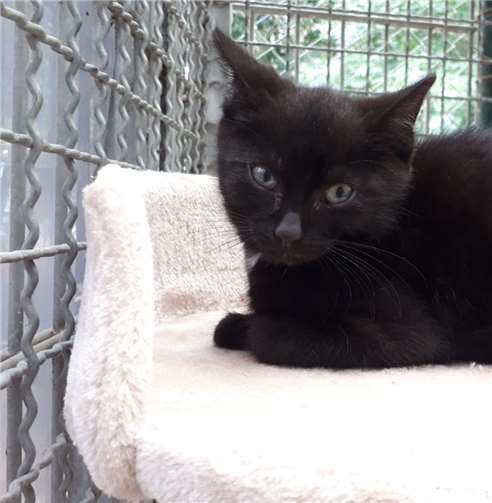 Räumliche Kapazitäten sind ausgeschöpft 