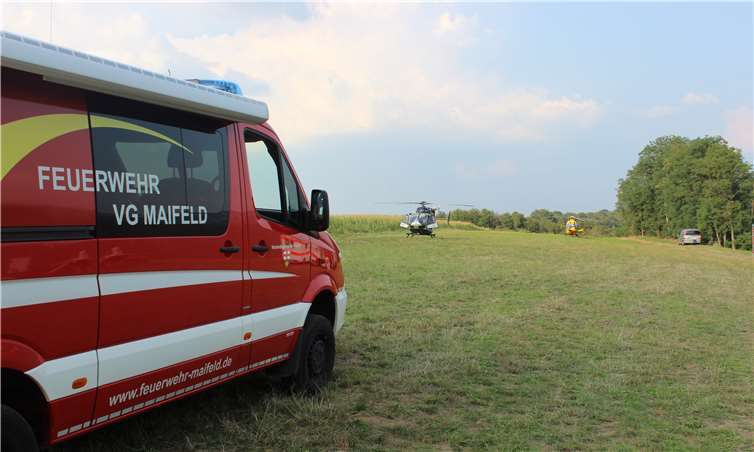 Gleitschirmflieger hing in Baum fest 