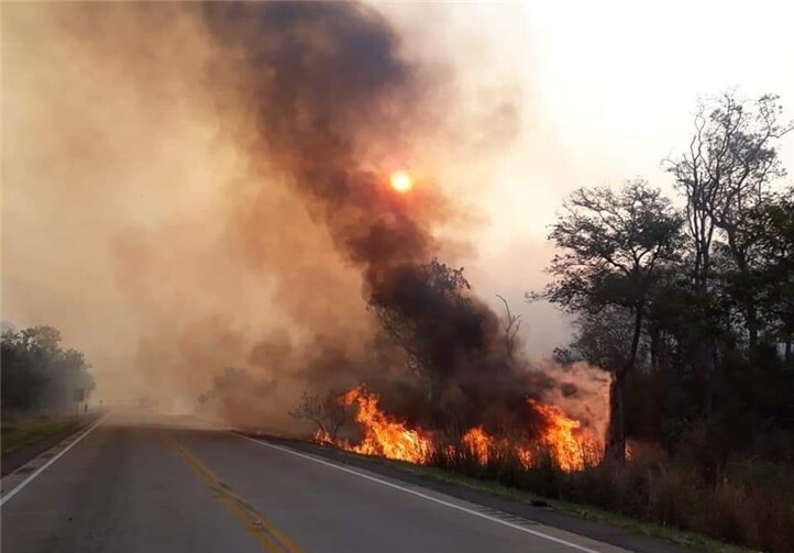 Wenn der Amazonas leidet, leidet die ganze Welt 