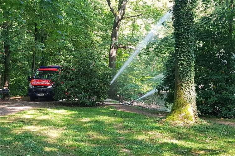 Faulgas im Schlossweiher: Feuerwehr leitet 1,5 Mio. Liter Wasser ein 