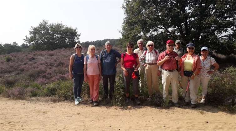 Wanderungen in die blühende Heide 