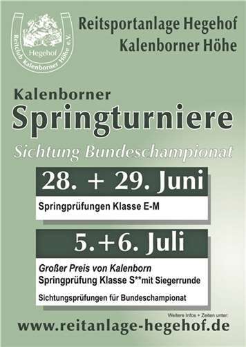 Pferdesport der Spitzenklasse 