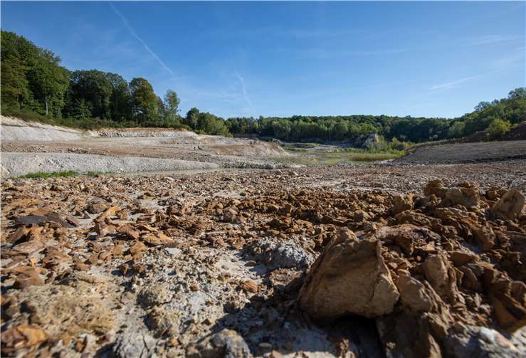 Fachleute führen durch die Abbaugrube im Naturschutzgebiet 