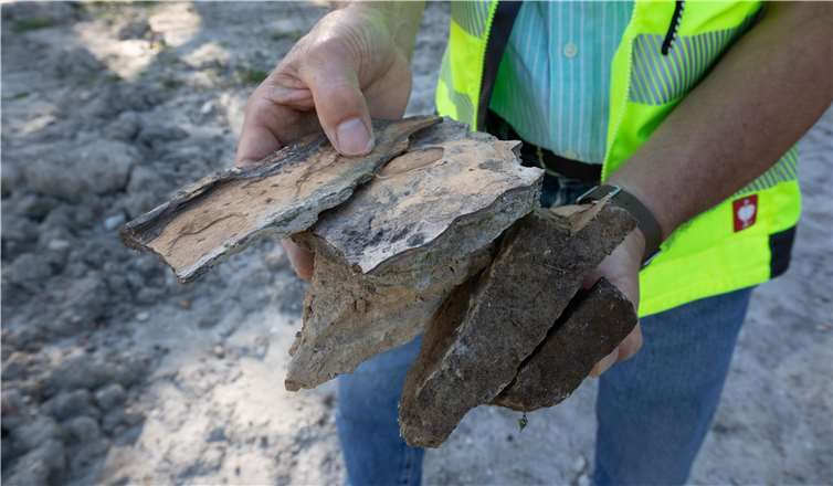 Fachleute führen durch die Abbaugrube im Naturschutzgebiet 