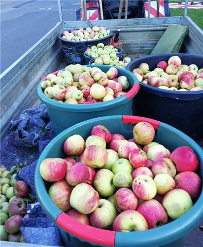 Frisch gepresster Apfelsaft für alle 