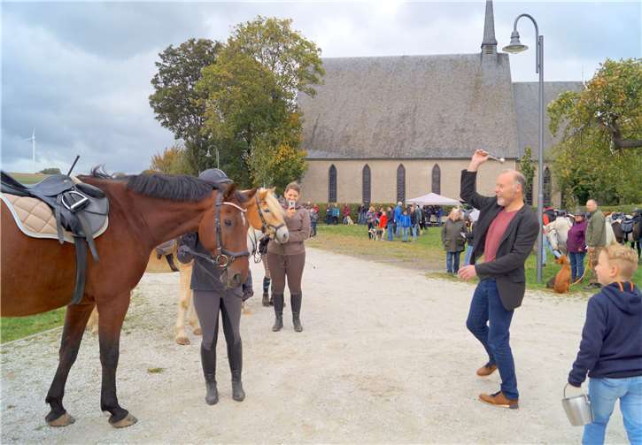 Ein göttlicher Segen für Ross und Reiter 