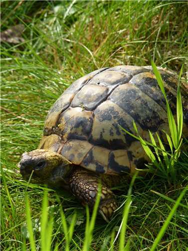 Stachelschweine freuen sich auf Spenden 