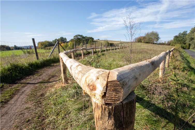 Untere Naturschutzbehörde erneuert Wegeeinfassungen 
