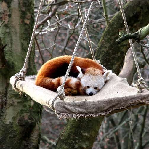 Gute Gelegenheit für Wiederholungstäter 
